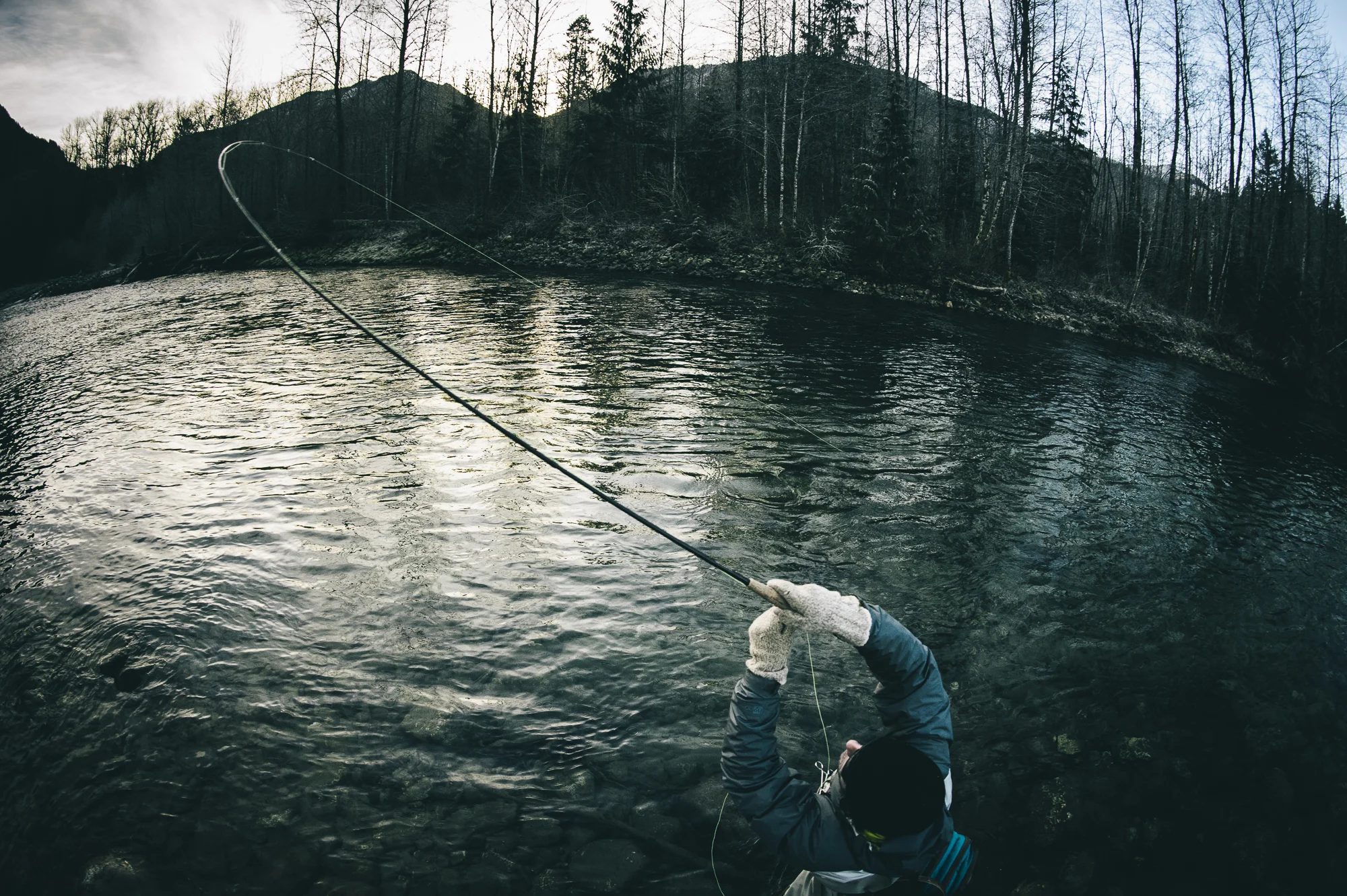 pgore_140105_fish_0013.jpg