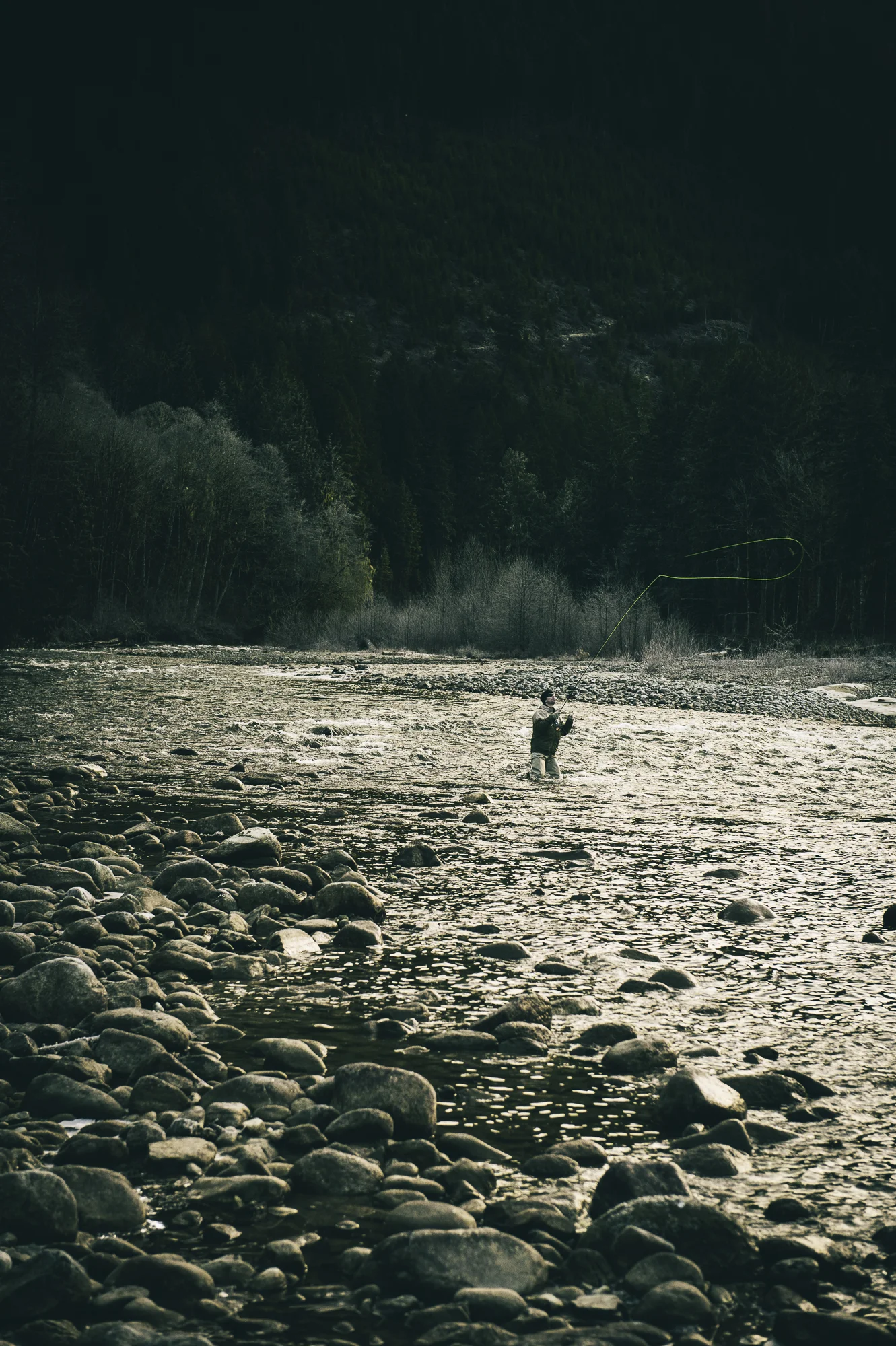 pgore_140105_fish_0017.jpg