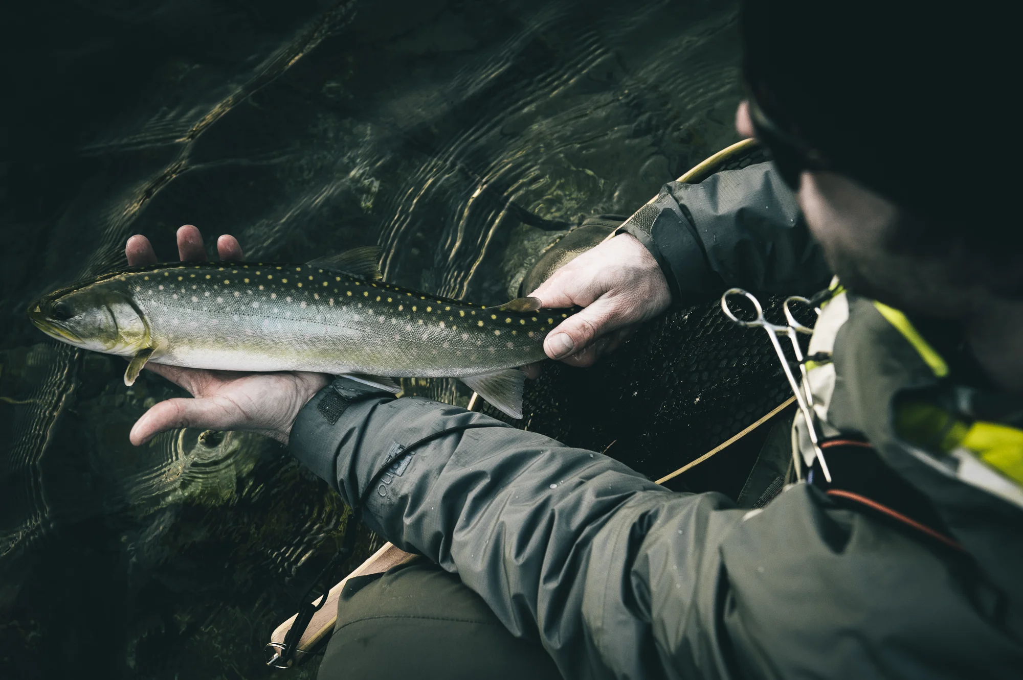 pgore_140105_fish_0021.jpg