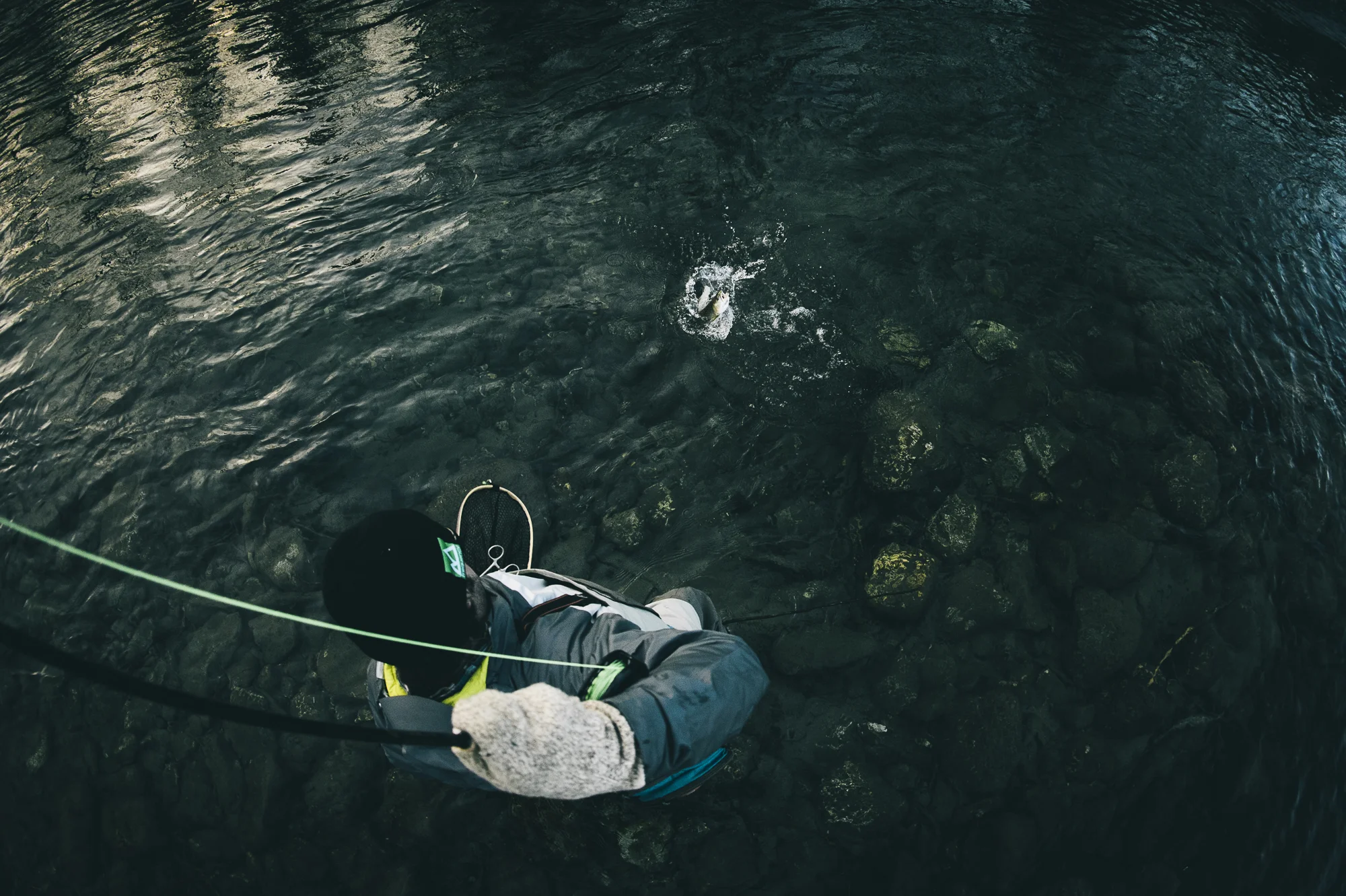 pgore_140105_fish_0020.jpg