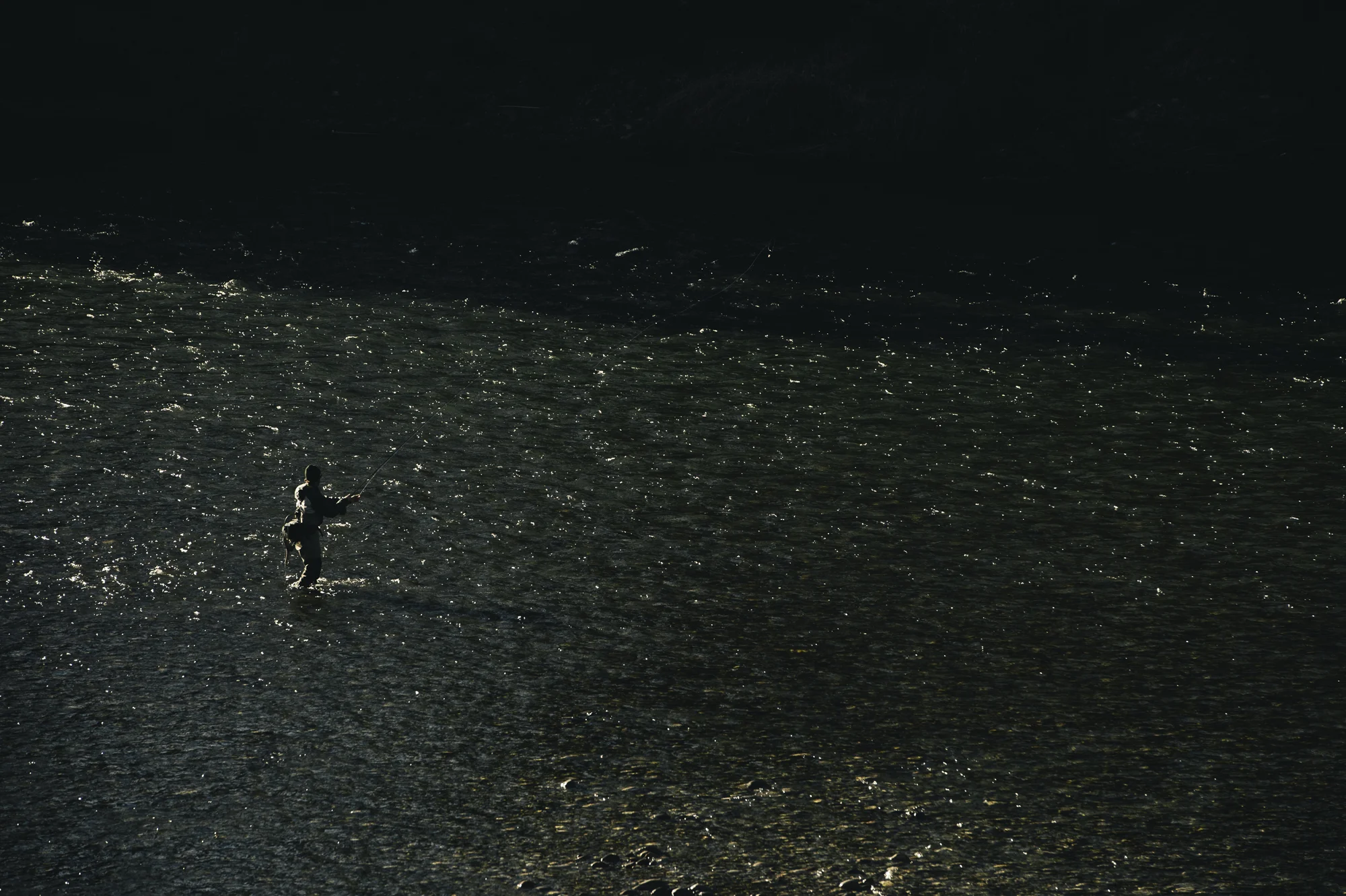 pgore_140105_fish_0027.jpg