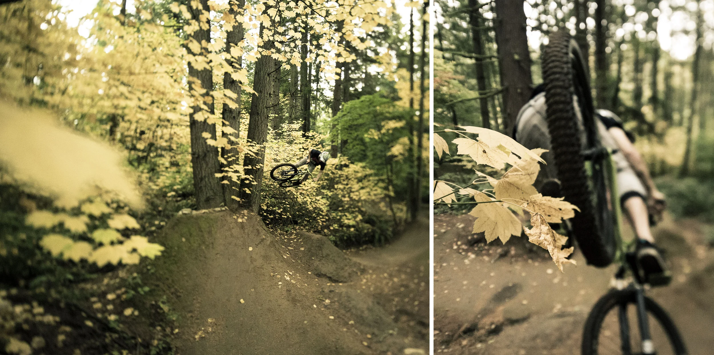 Steven Bafus / Seattle, WA
