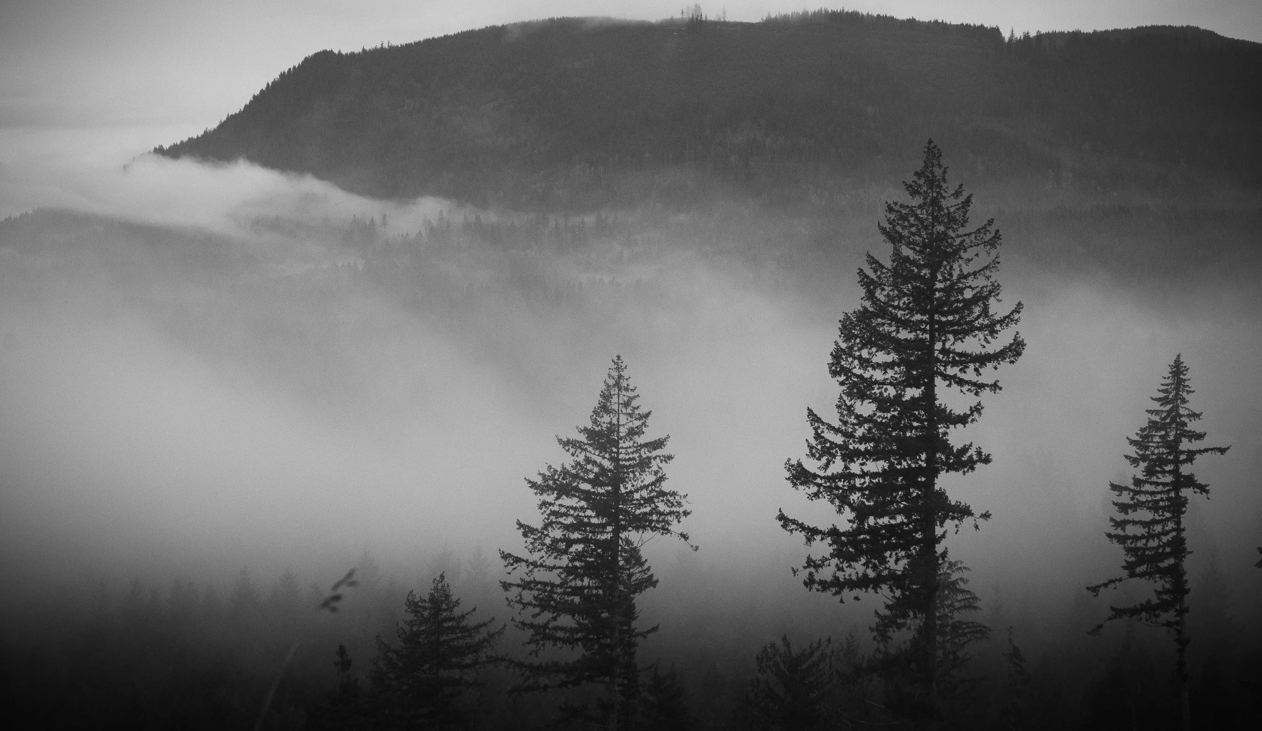 pgore_120107_landscape_0002.jpg