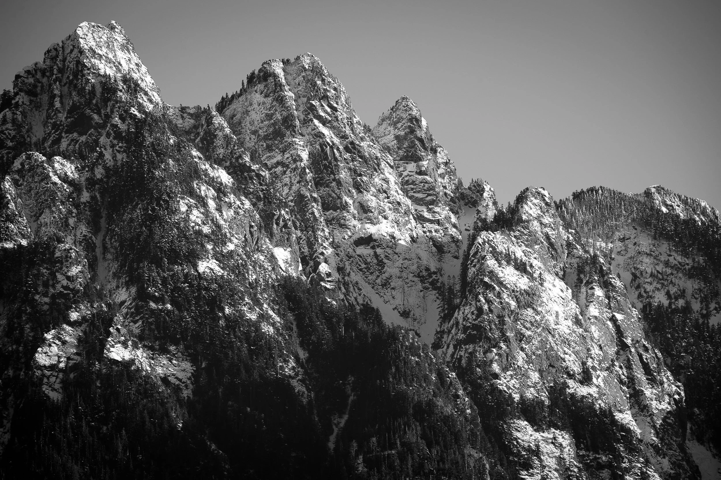 pgore_120203_landscape_0003.jpg