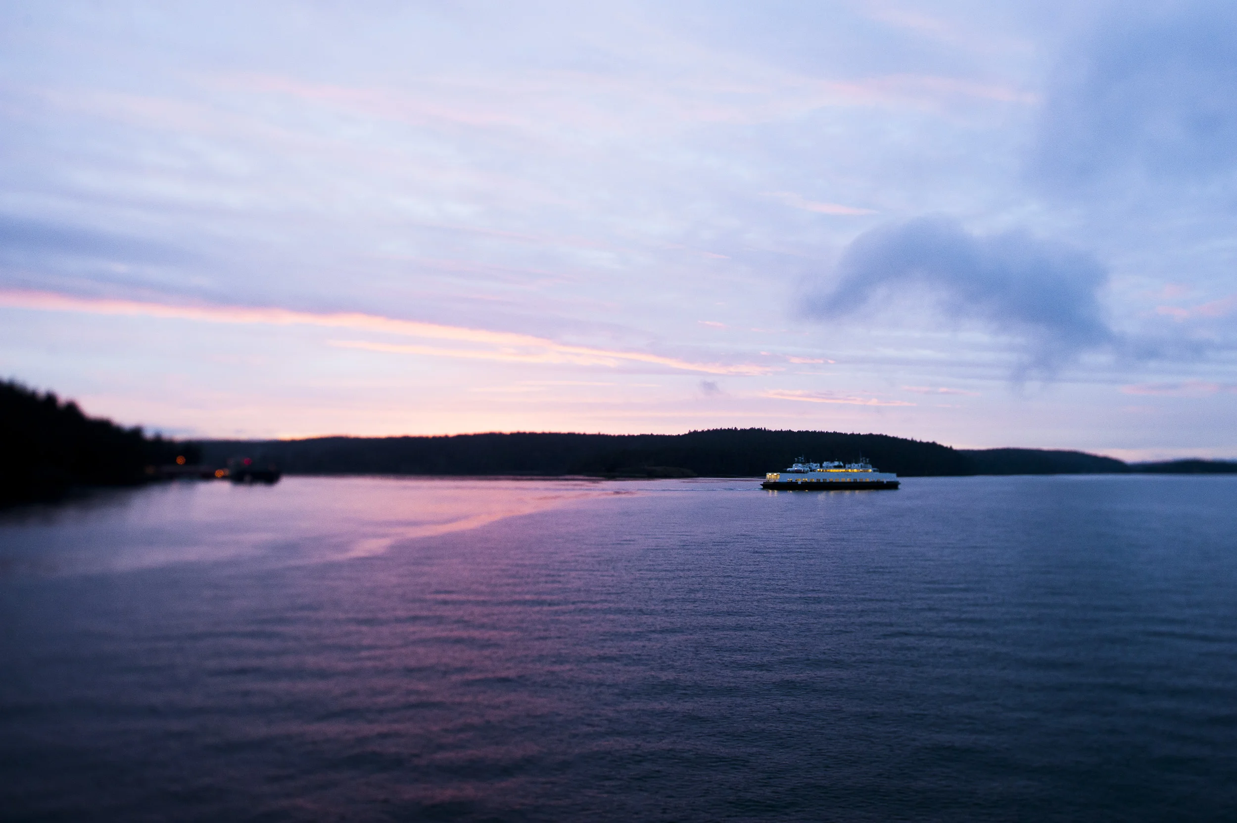 pgore_121210_landscape_0010.jpg