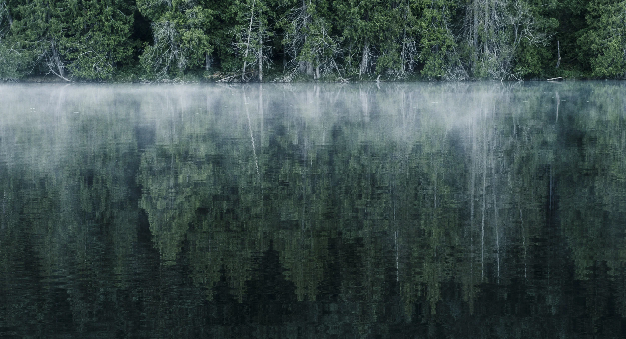 pgore_130623_landscape_0017.jpg