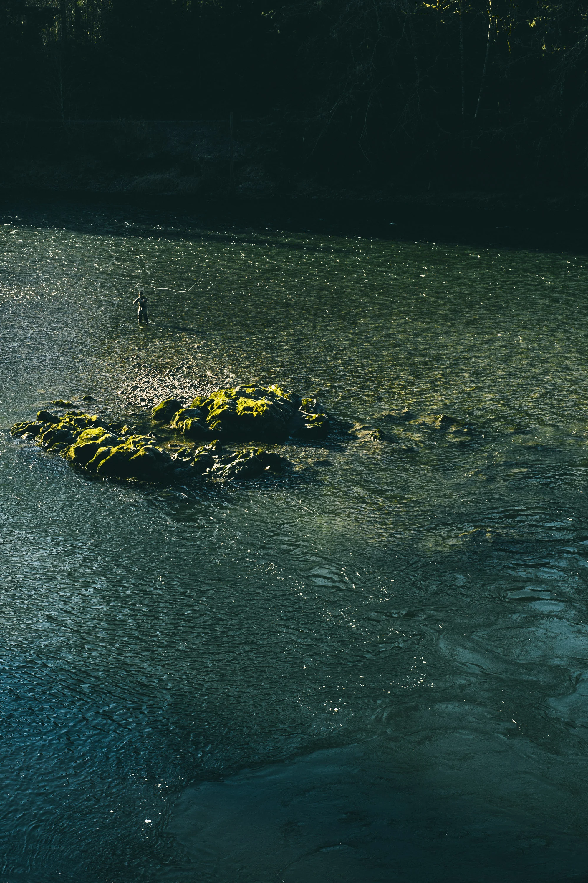 PG_140105_fish_865.jpg