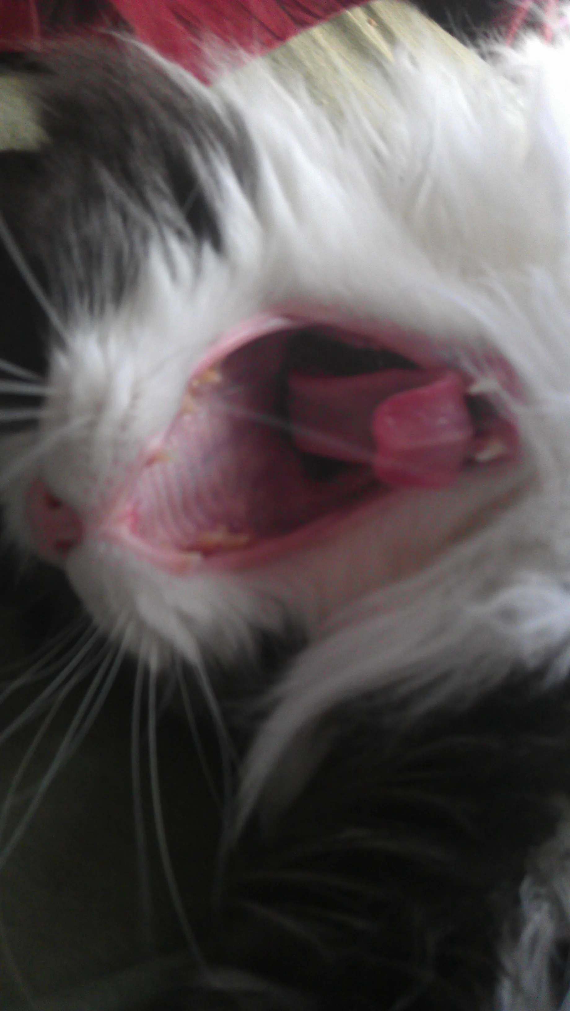 IMAG0351.jpg