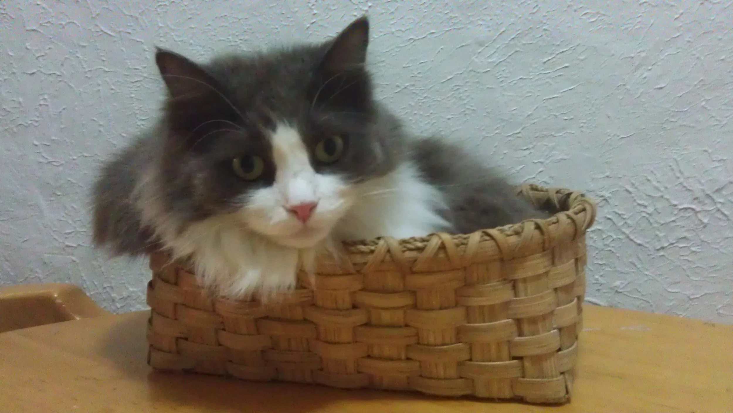IMAG0823.jpg