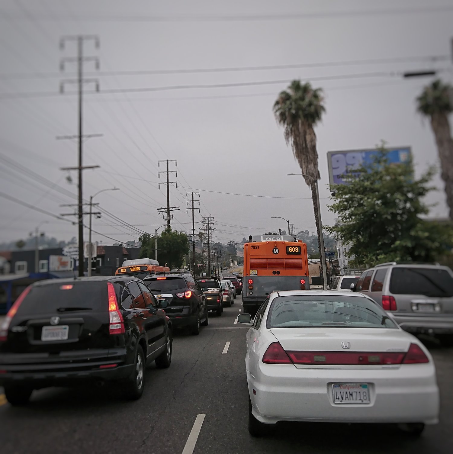 DSC_0307-01.jpeg
