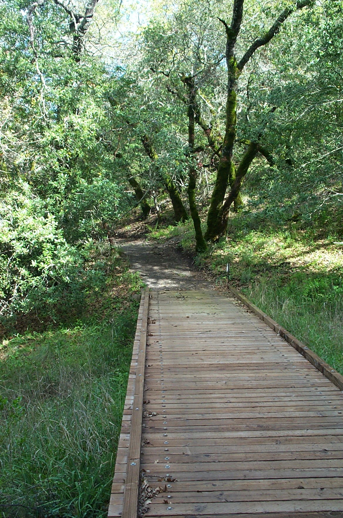 DCP_1459.JPG