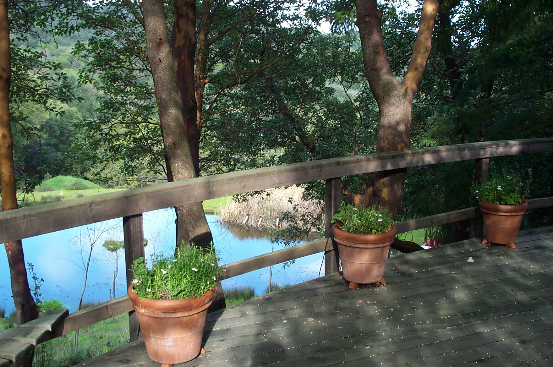 DCP_1501.JPG