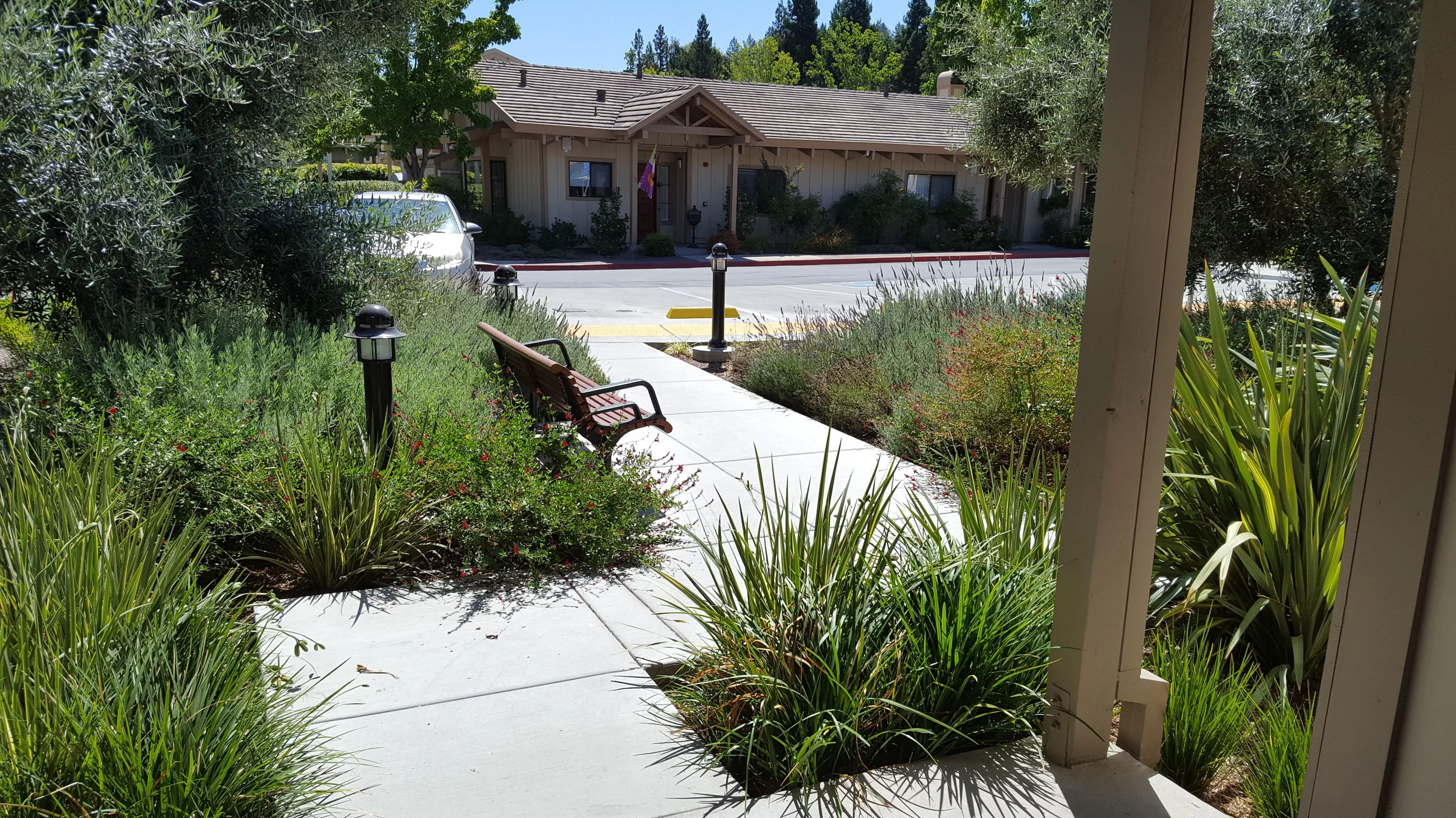 2016-08-09 11.31.37 (1).jpg