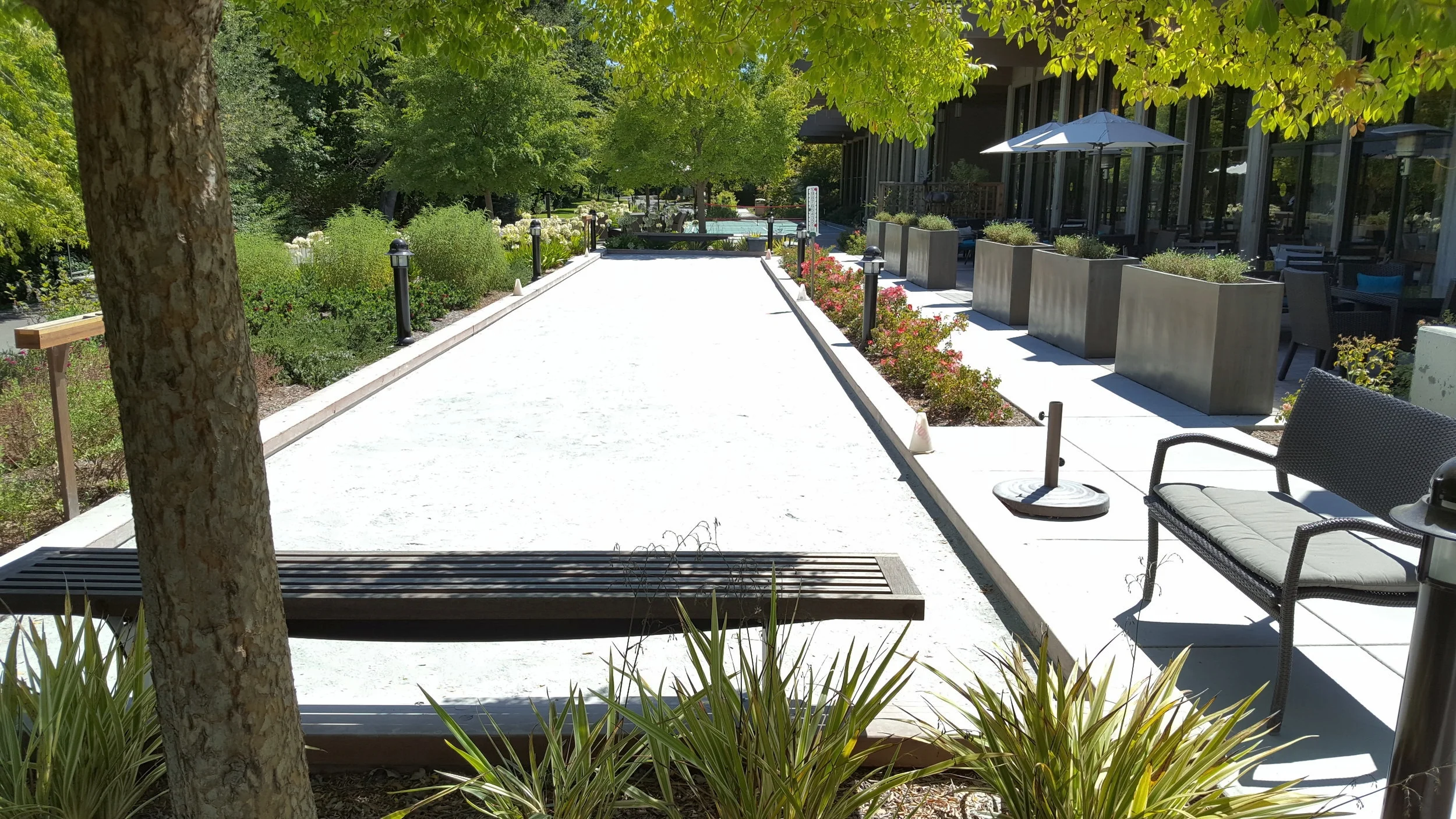 2016-08-09 11.55.15.jpg