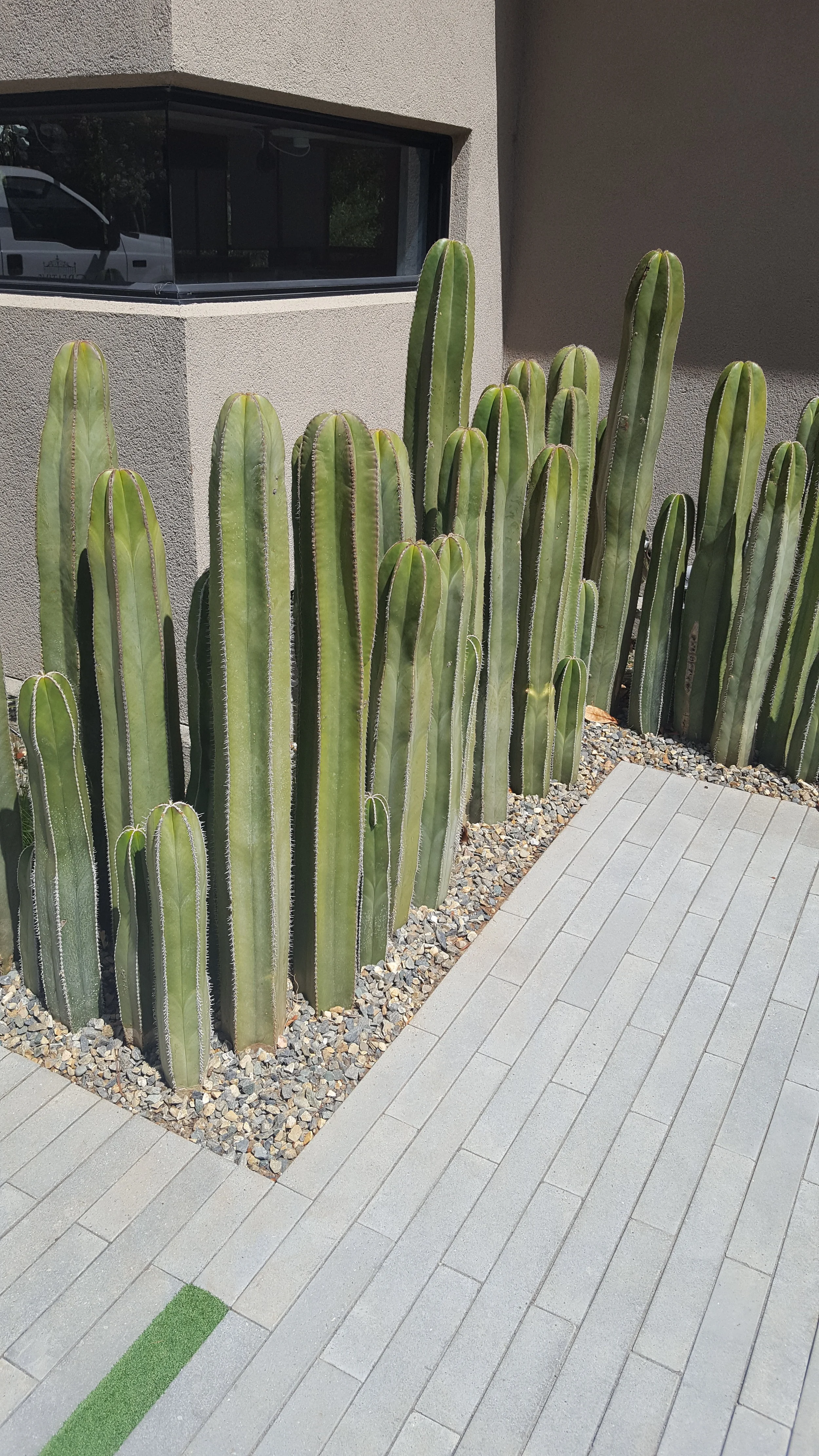 2017-06-26 11.10.01.jpg