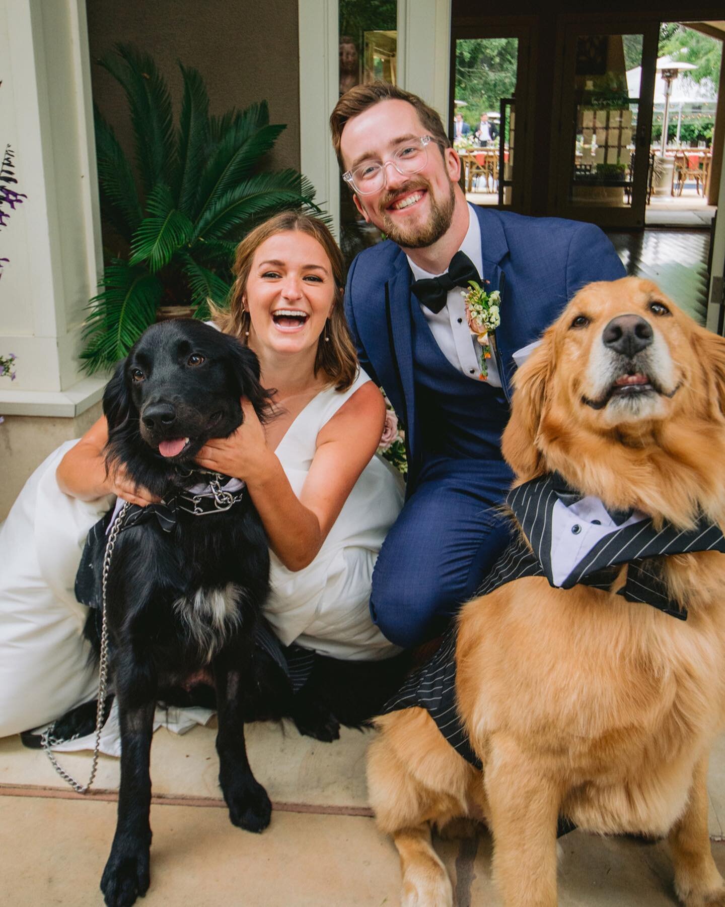 HAPPY NATIONAL PETS DAY
⠀⠀⠀⠀⠀⠀⠀⠀⠀
We had to take this opportunity to share some shots of these two good fur babies from last years wedding! Are they not they cutest pair!

#nationalpetday