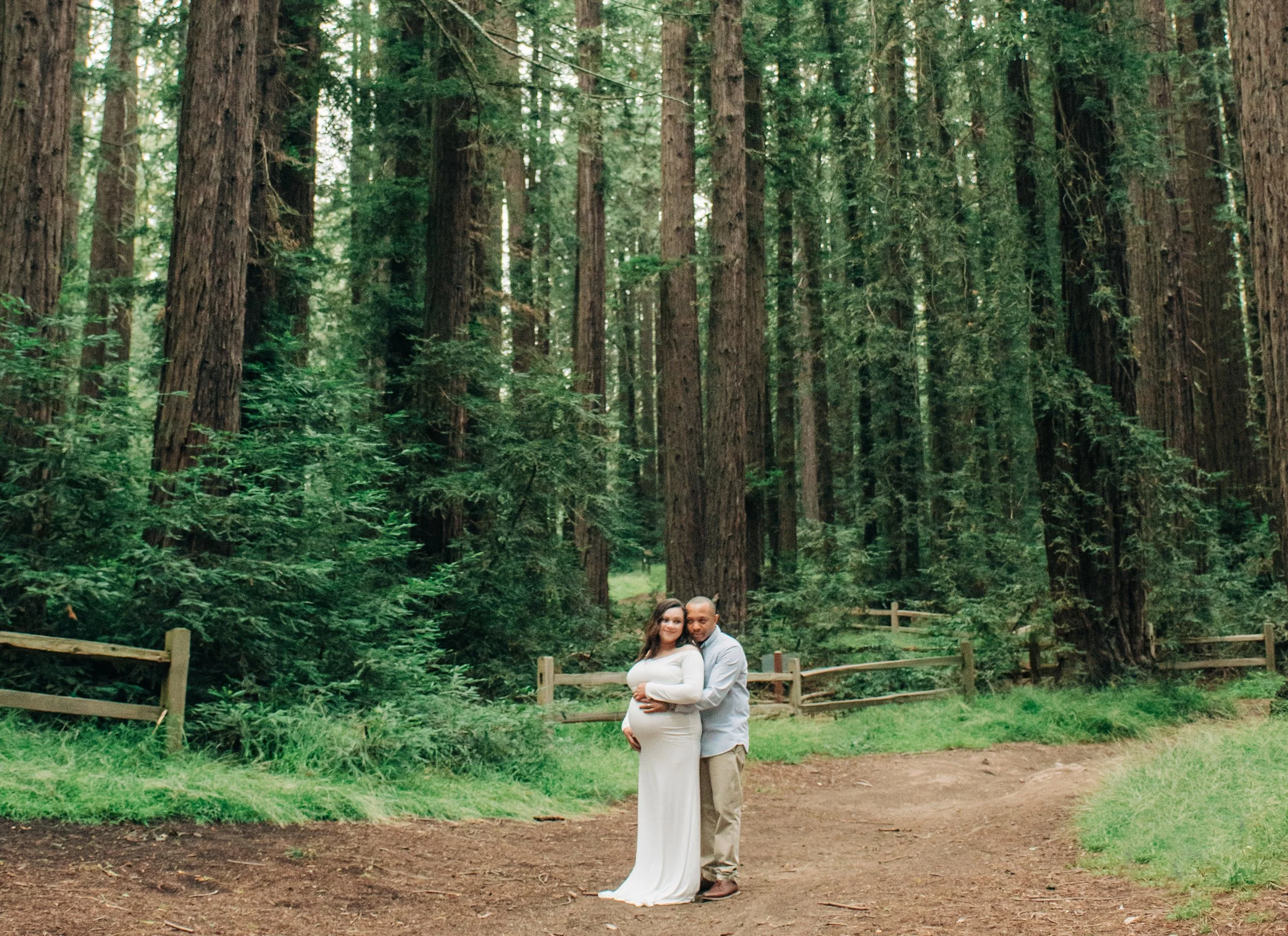 Oakland Redwoods Maternity | A Love Story Continued