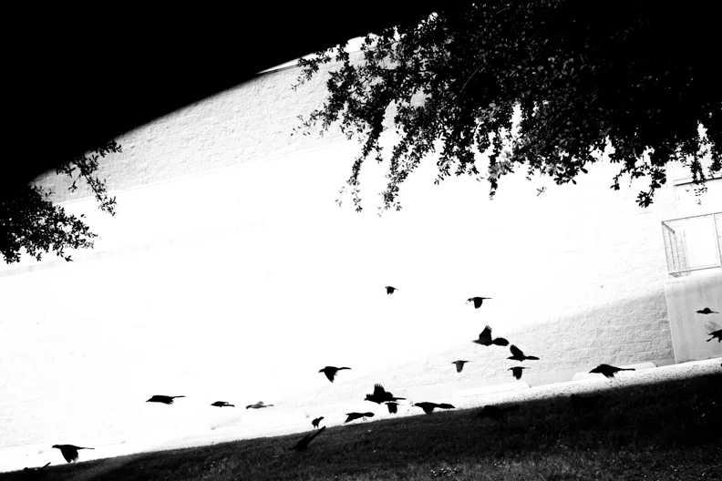 untitled-3.JPG