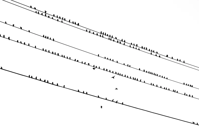 untitled-7.JPG