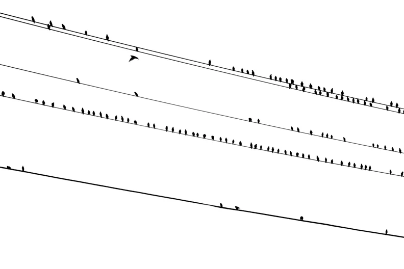 untitled-8.JPG