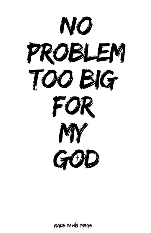 95_NO PROBLEM TO BIG.jpg