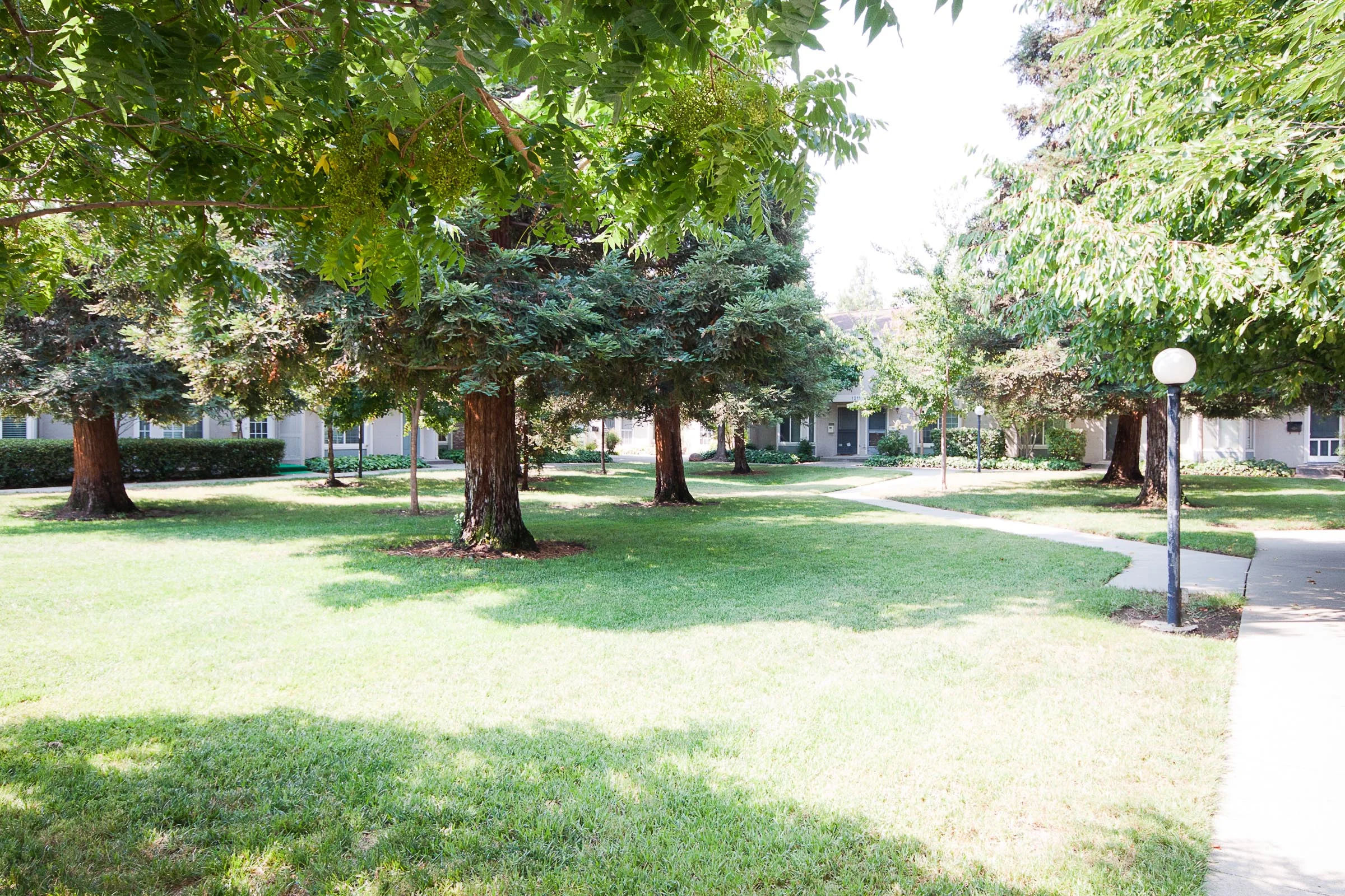PineCreek_Edited_print-7550.jpg