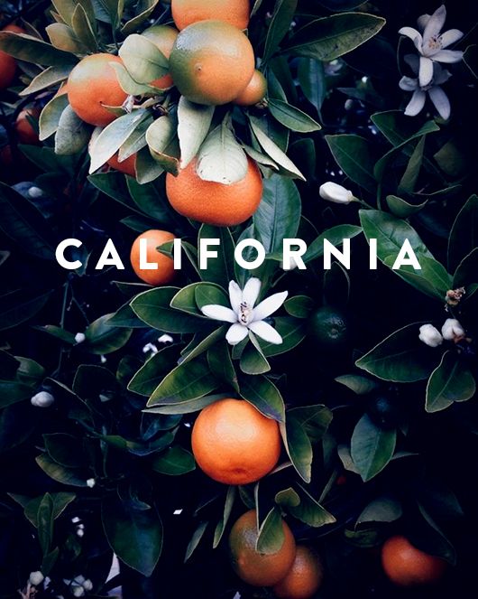 Blood Oranges + Lavender + Desert Nature Tones.