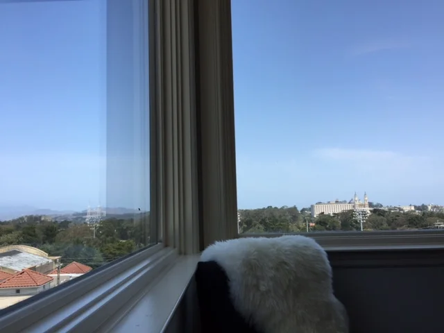 Hi USF!