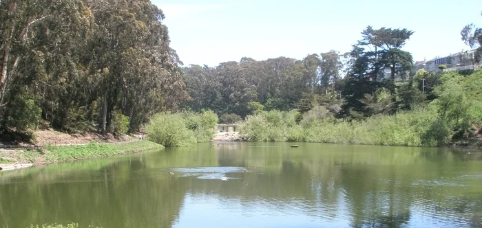pine lake.jpg