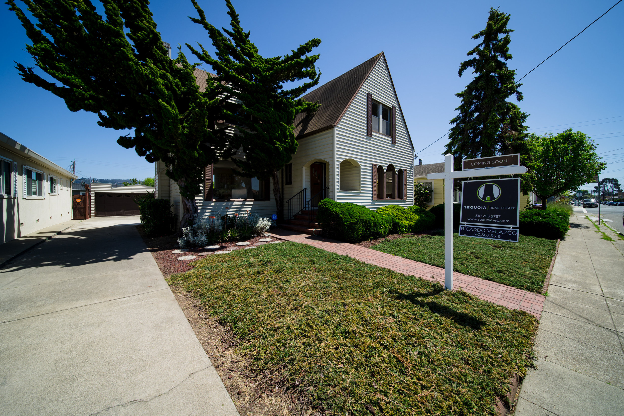 Sequoia Ricardo House-01475.jpg