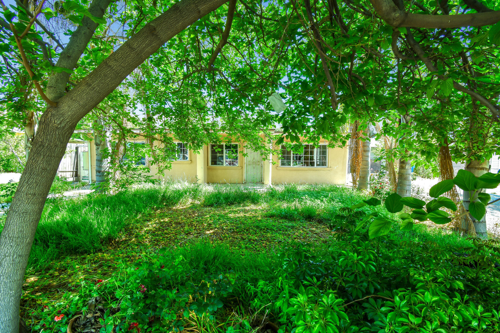 01_F8276_Mahoney_Drive1_mls.jpg