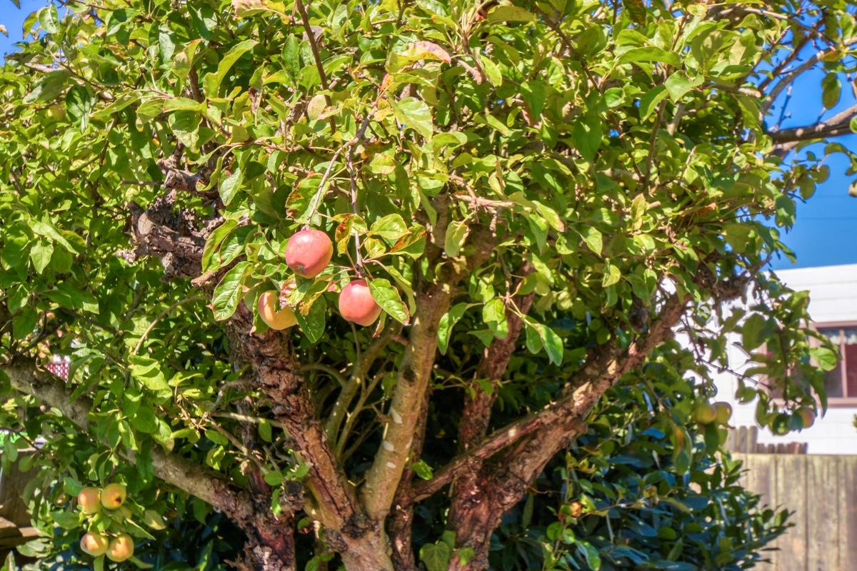 38_201908260034.jpg