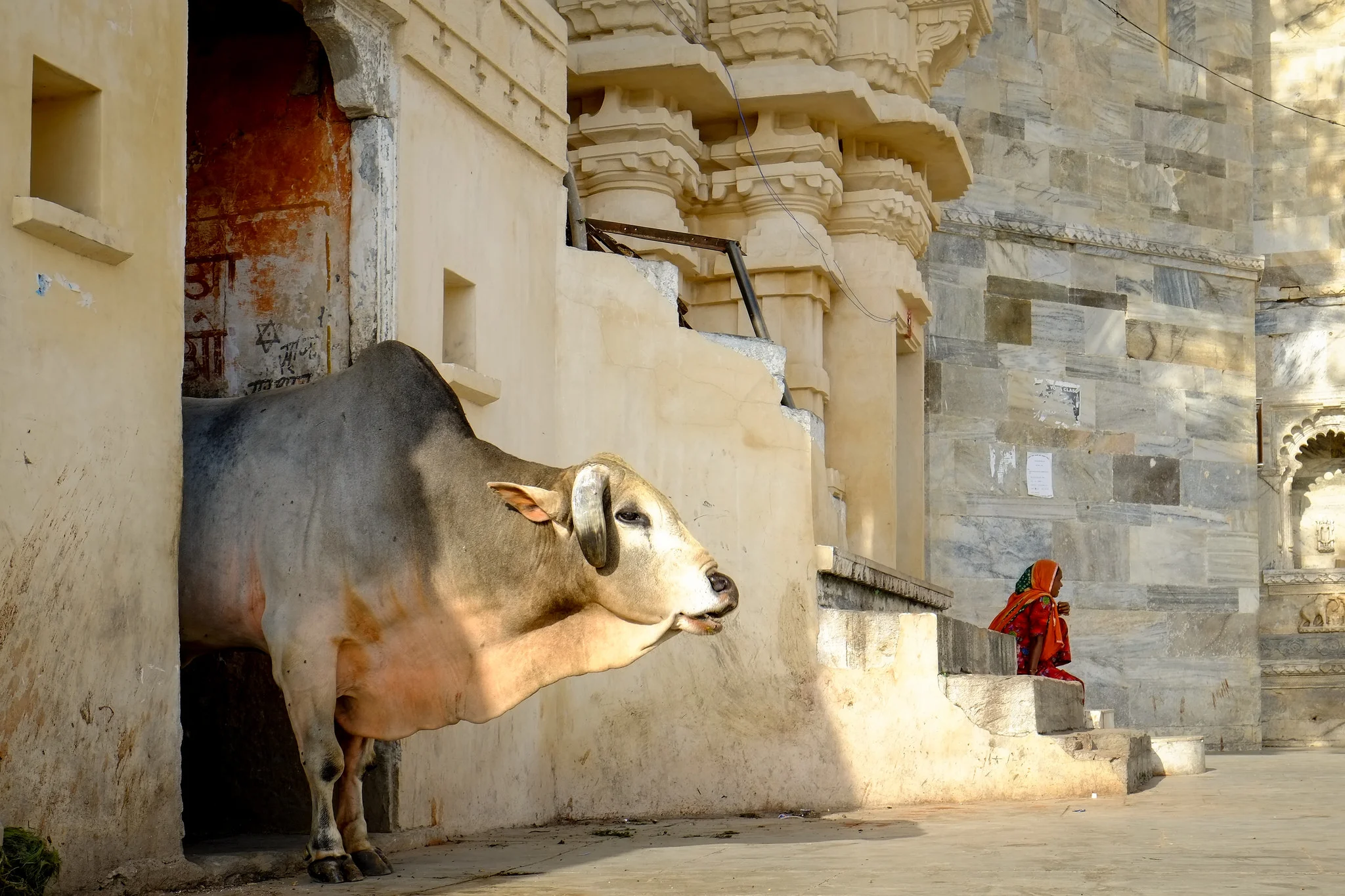 udaipur.jpg