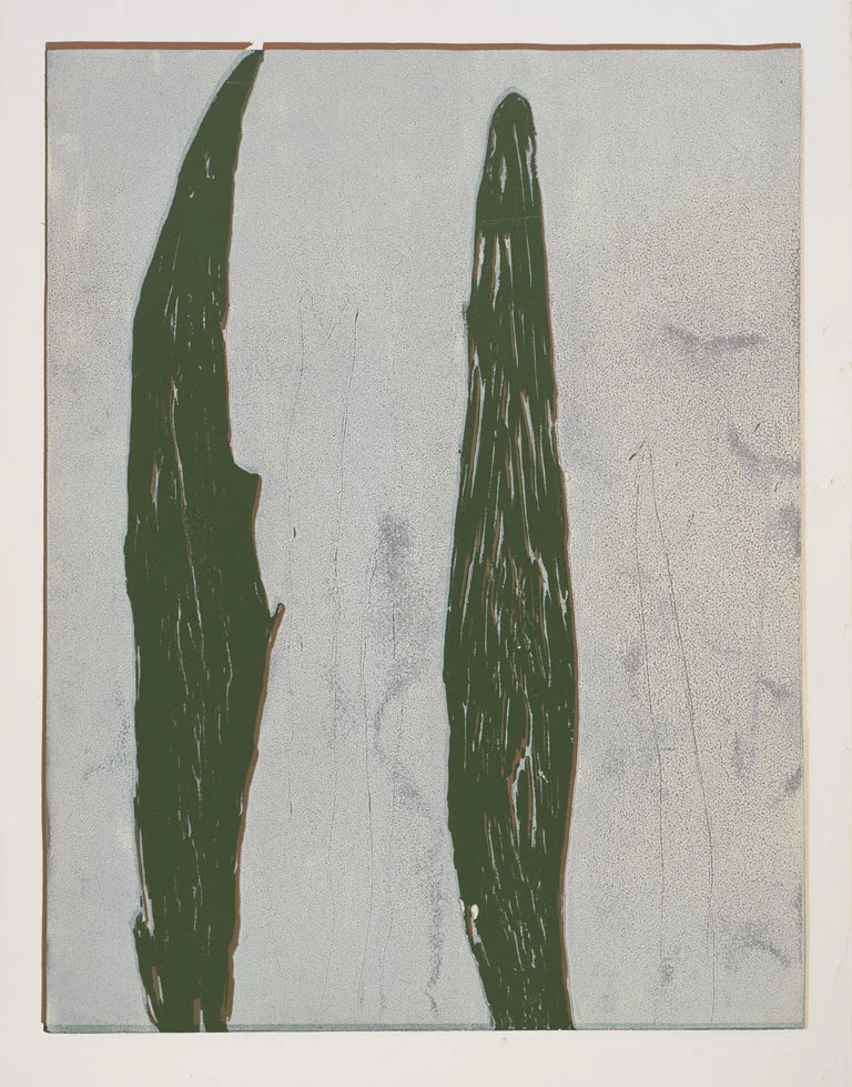 Sultan 'Cypresses' ('blanc crème' and brown over a green)