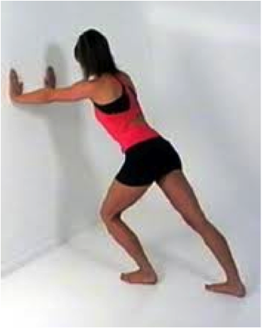 gastrocnemius