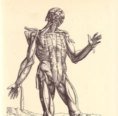 Prehabilitation and Rehabilitation