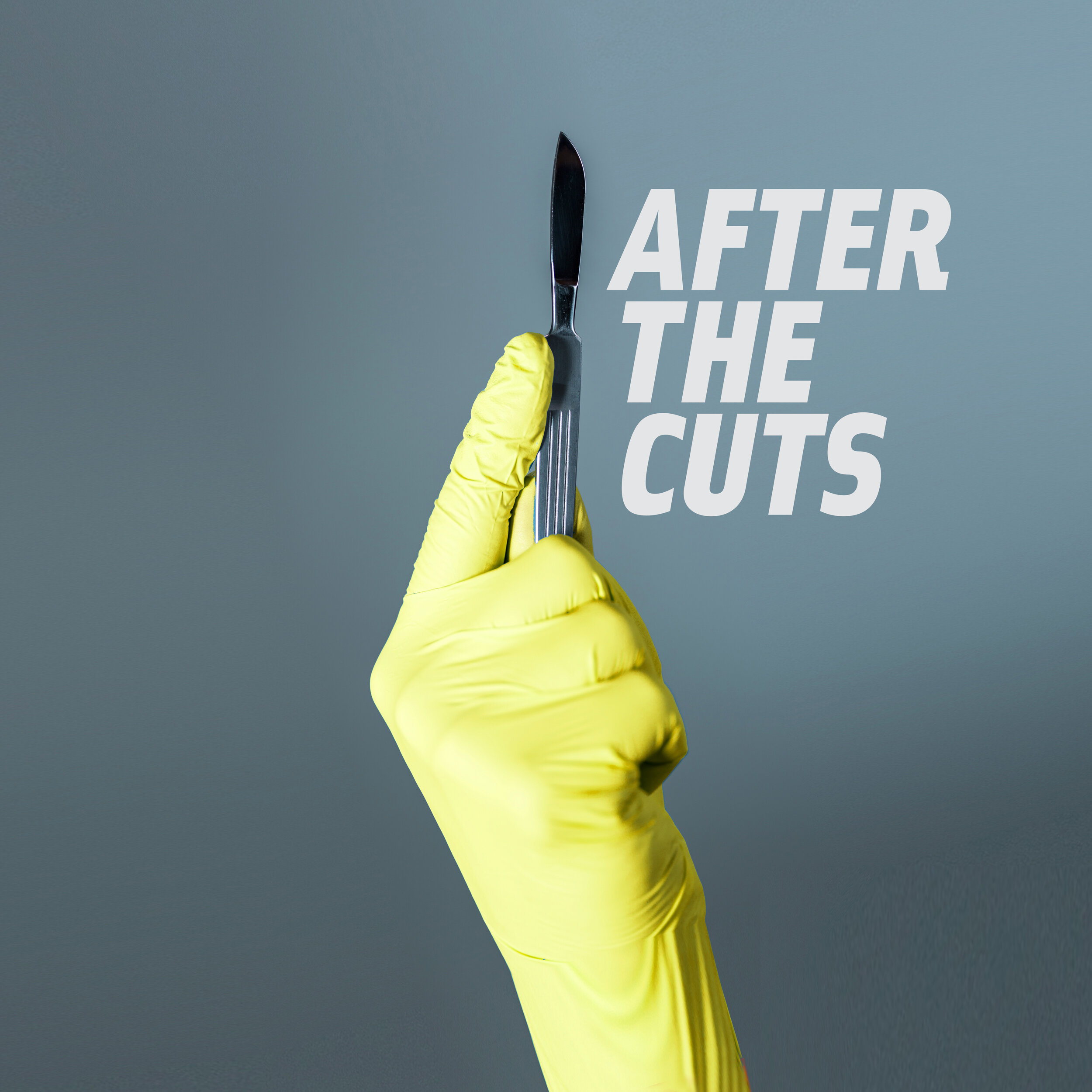 AFTER THE CUTS for Raw Material