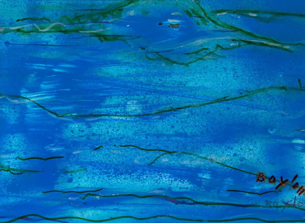 Acquario, s.d.