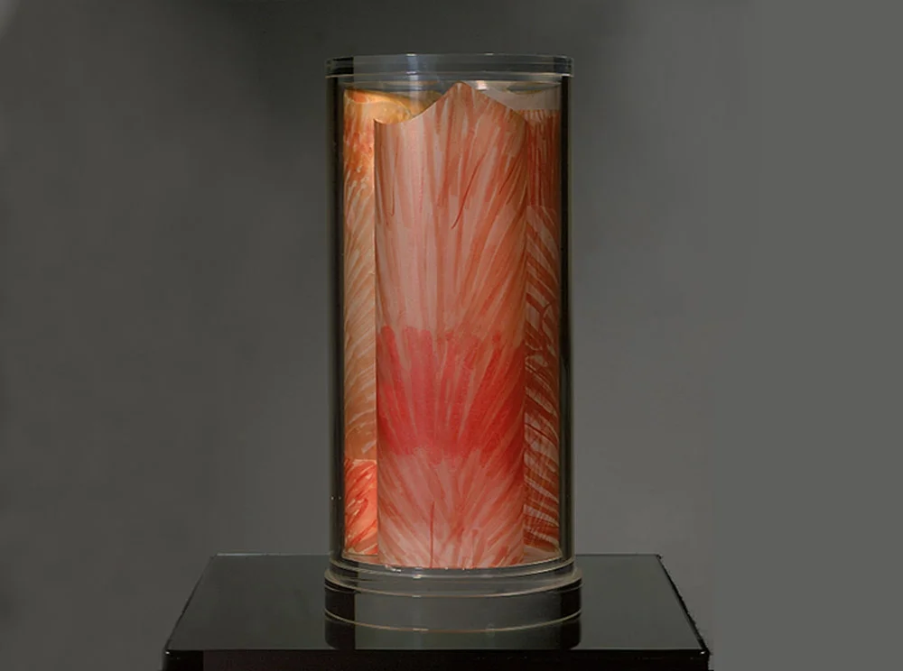 Il sole, 1981