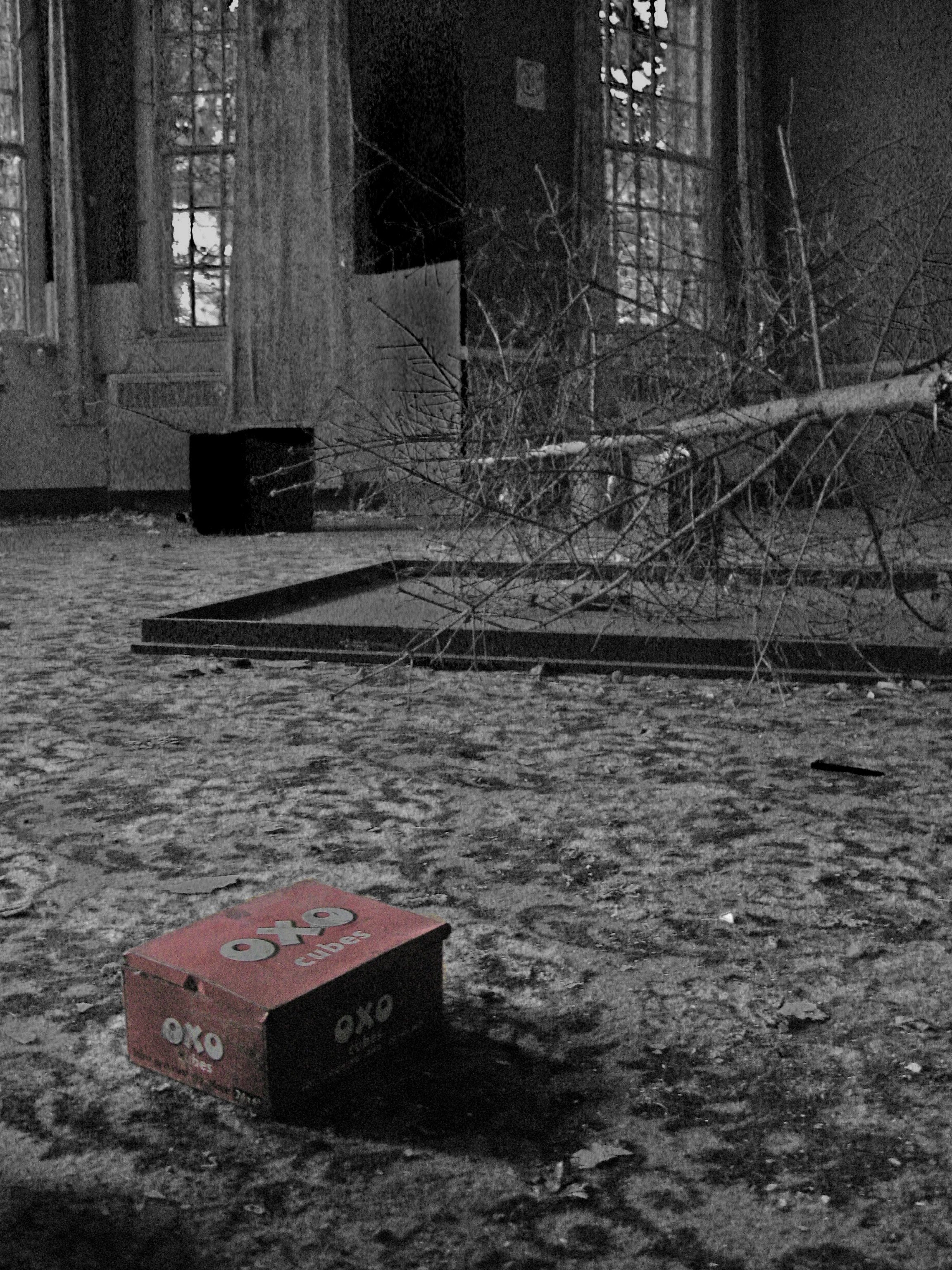 aIMG_1322.jpg