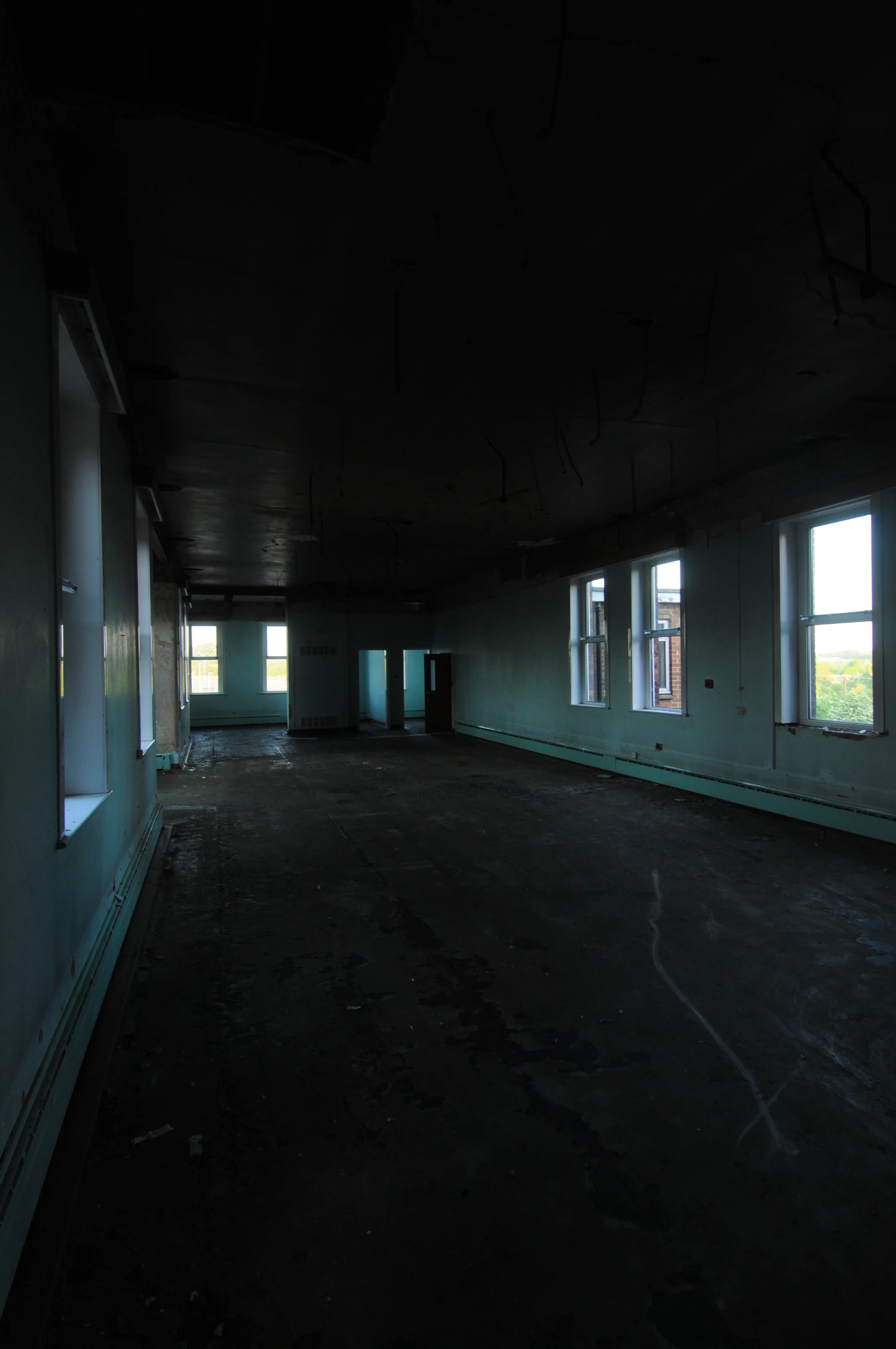 DSC_5449a.jpg