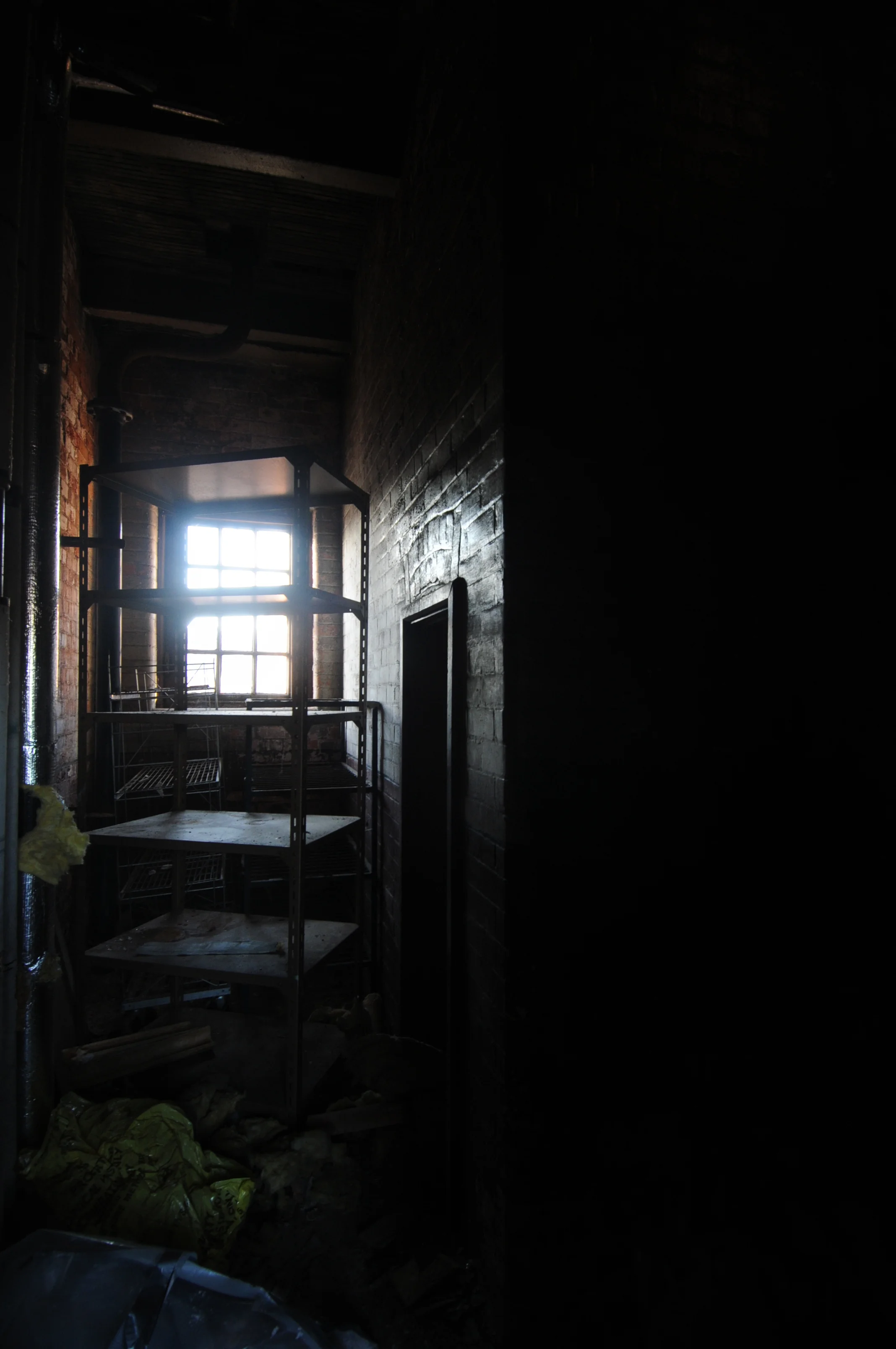 DSC_5496a.jpg