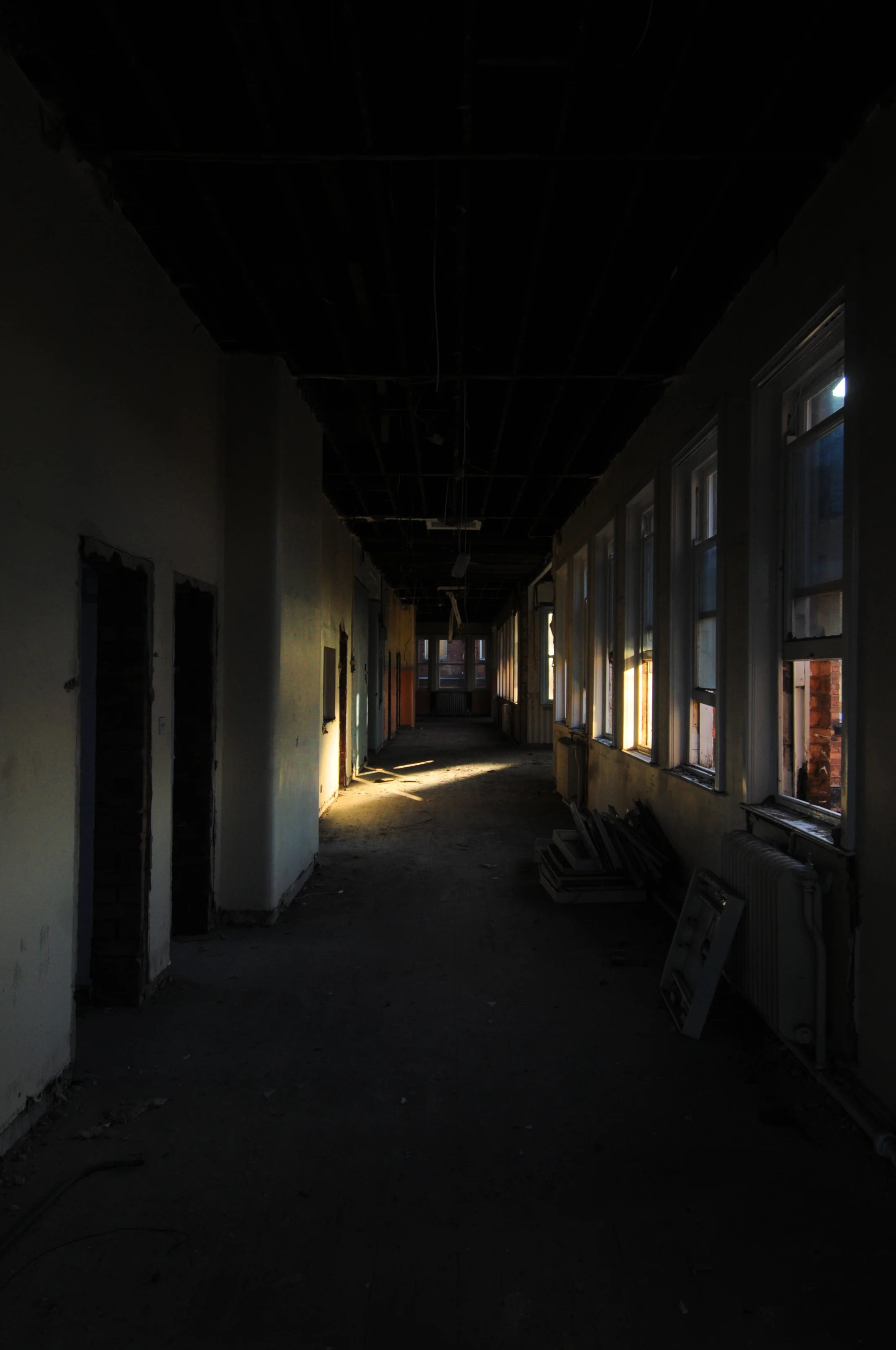 DSC_5510a.jpg