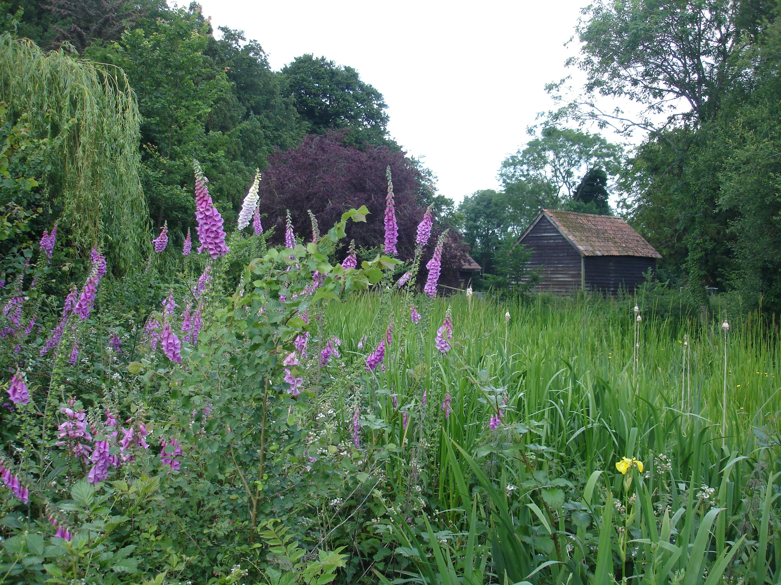 2014-06-25 11.45.12.jpg