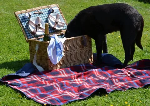 Picnic1.jpg