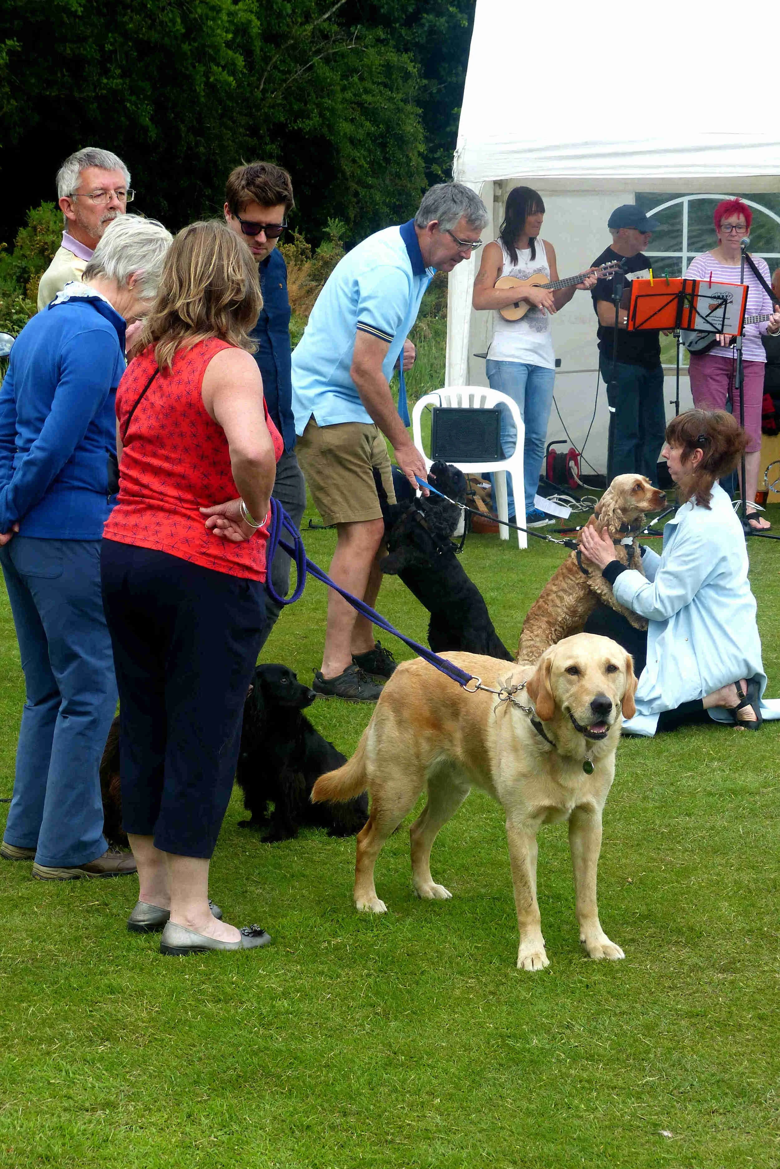 Dogs_004.jpg