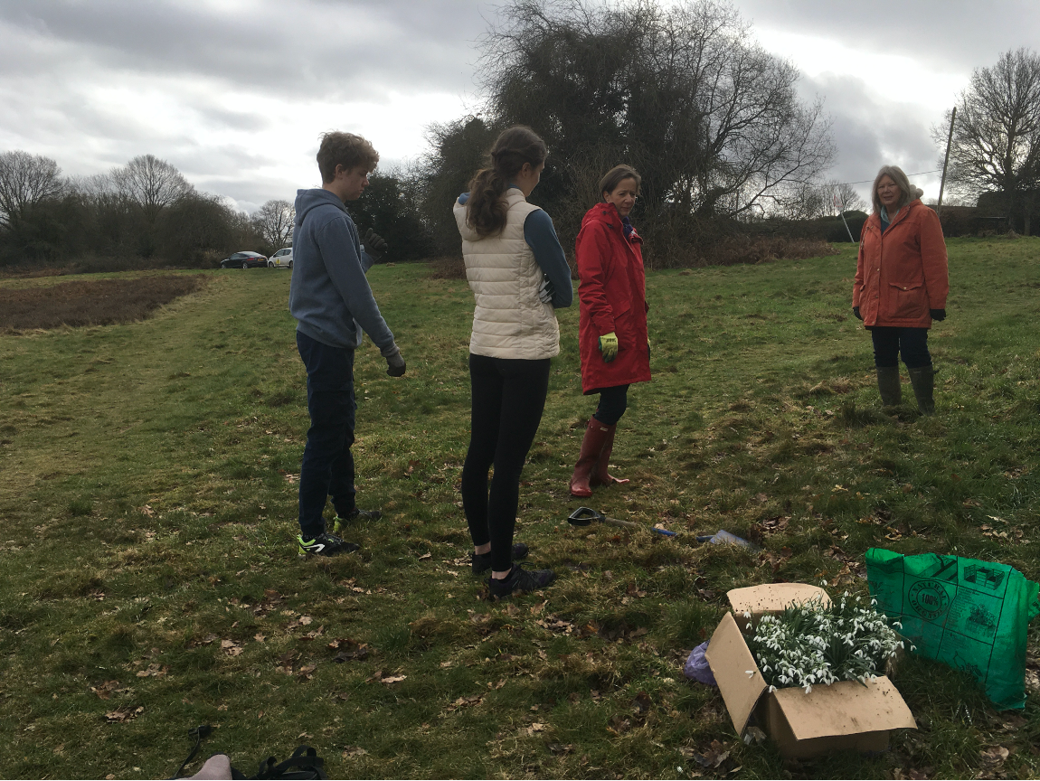 Planting snowdrops.png