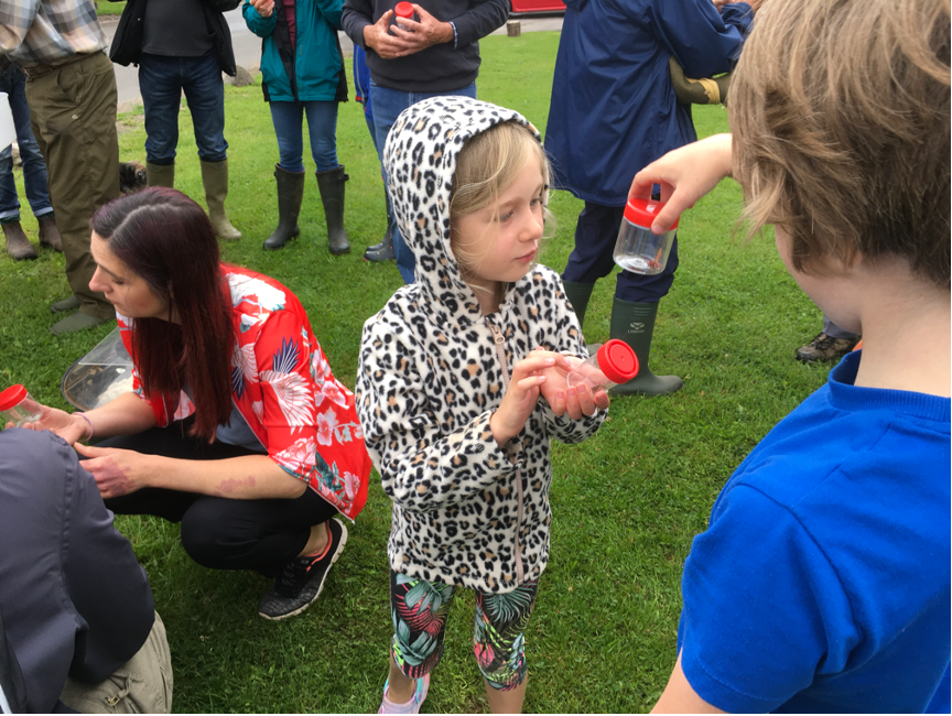 Moth release-2 july21.png