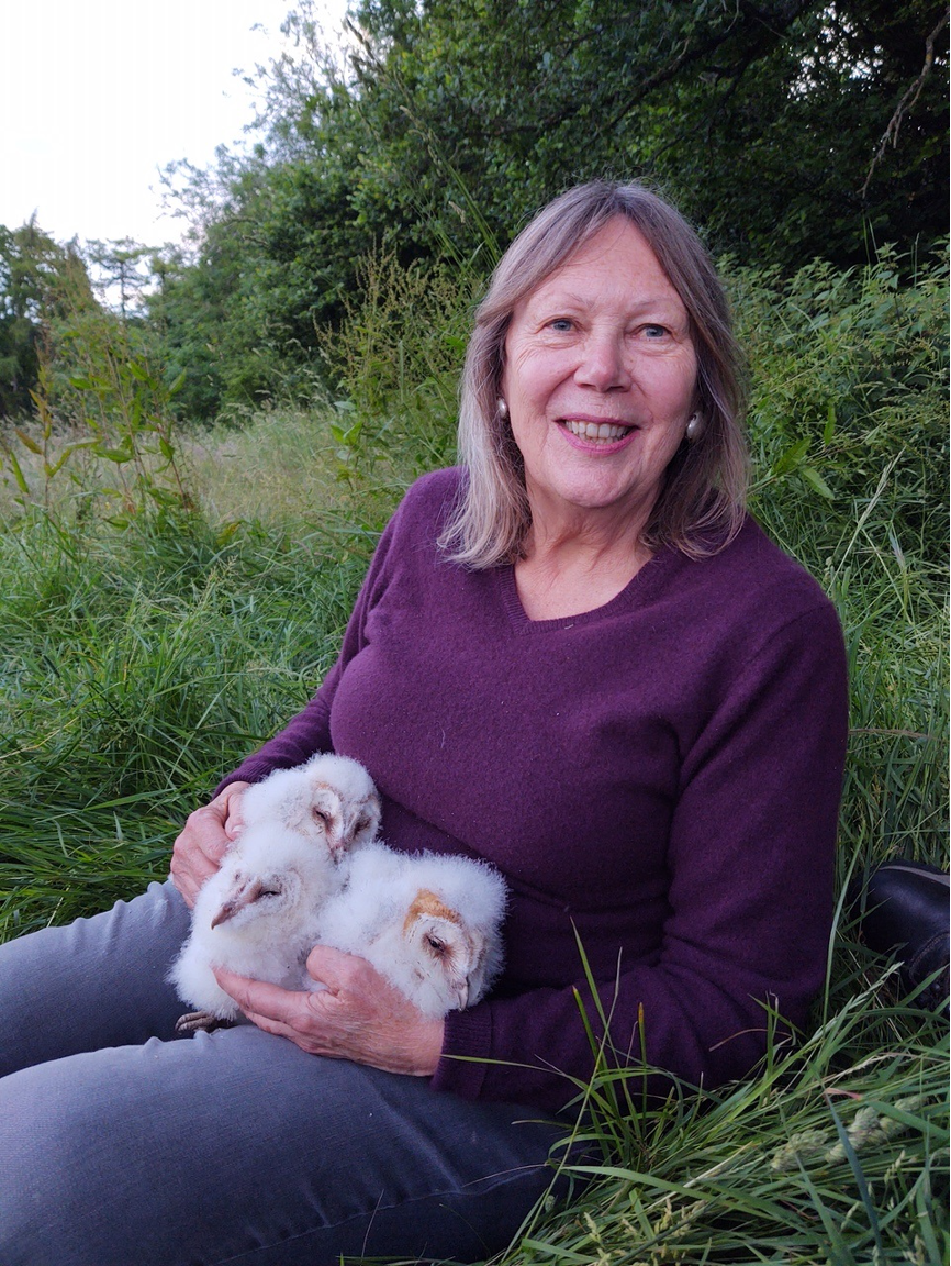 Barn Owlets.png