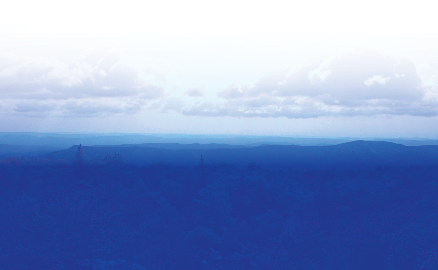 Untitled-1.jpg